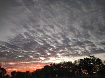 Low angle view of silhouette trees against sky during sunset
