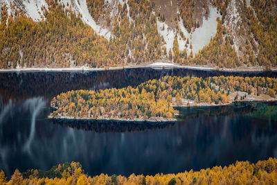 Scenic view of lake by trees during autumn