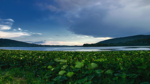 Scenic view of lake against sky