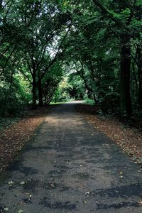 Dirt road amidst trees in forest