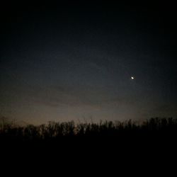 Silhouette of trees against sky at night