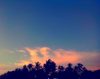 Low angle view of silhouette trees against sky during sunset