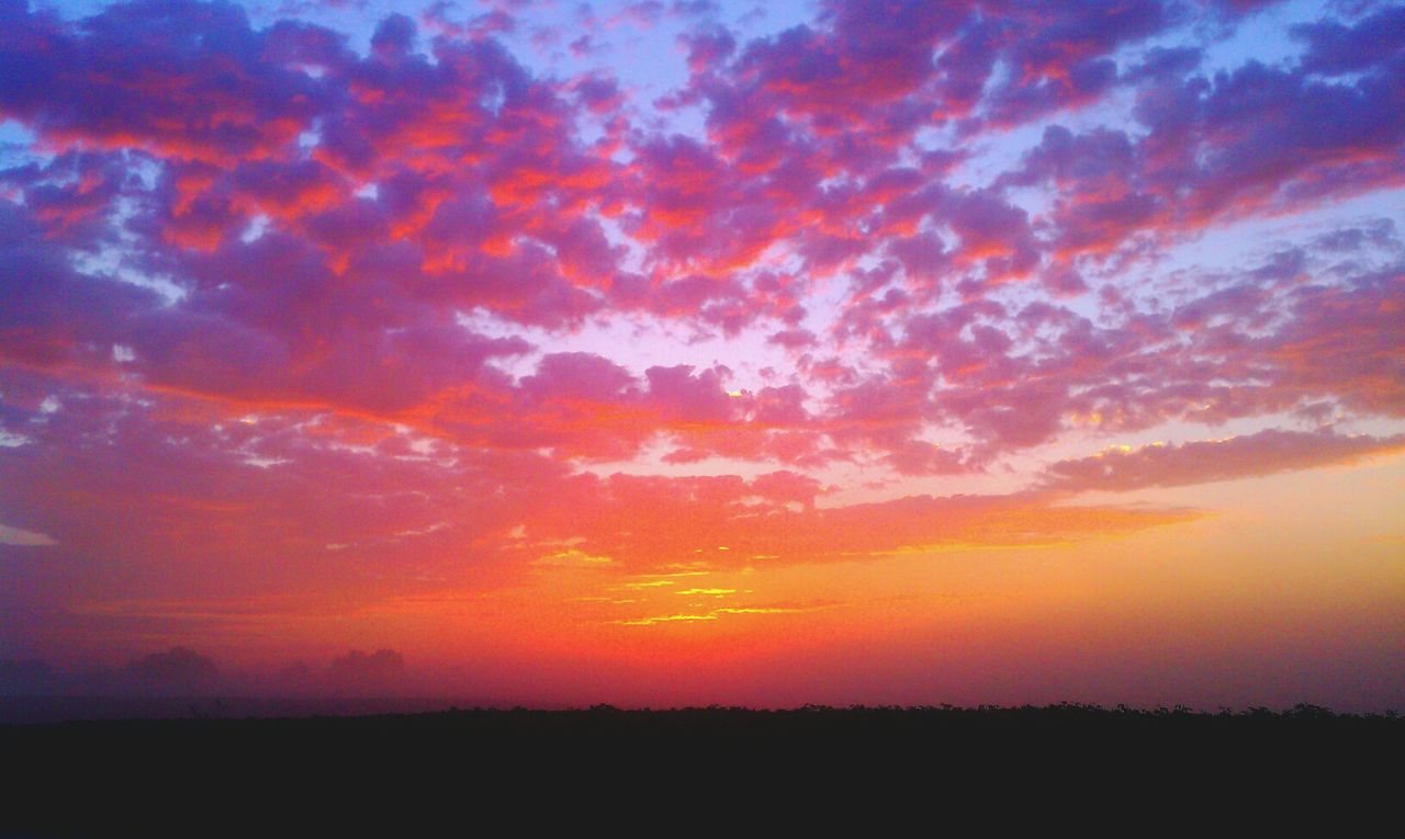 sunset, scenics, silhouette, tranquil scene, beauty in nature, sky, tranquility, orange color, landscape, idyllic, cloud - sky, nature, dramatic sky, cloud, field, majestic, outdoors, moody sky, no people, dark