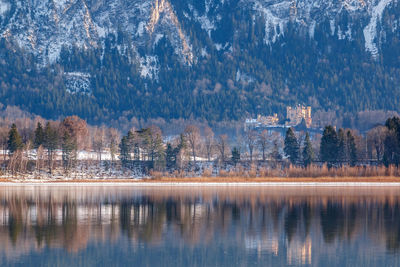 Reflection of trees in lake