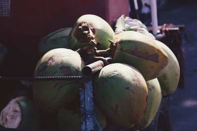 Close-up of coconuts