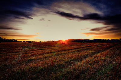 Scenic view of field against sky during sunset