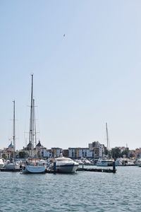 Sailboats in harbor