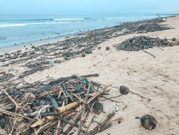 Aerial view of driftwood  and garbage on beach