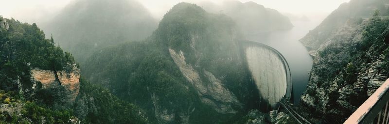 Panoramic view of trees and mountains