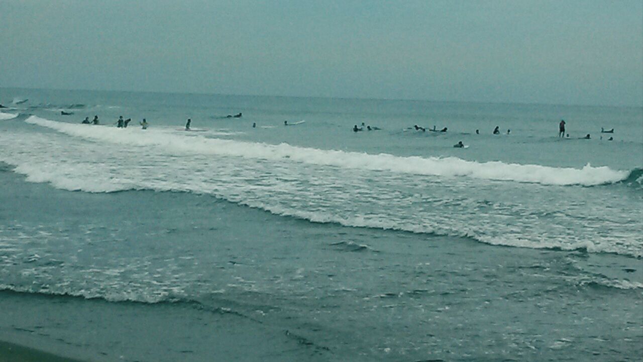 sea, beach, horizon over water, water, shore, sand, scenics, beauty in nature, tranquil scene, tranquility, clear sky, nature, wave, sky, copy space, bird, incidental people, idyllic, coastline, surf