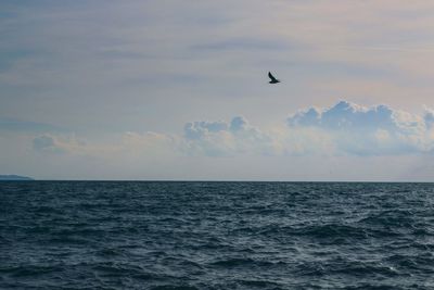 Seagull flying over sea against sky