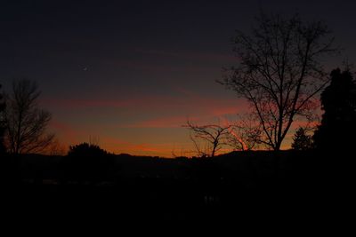 Silhouette trees against sky at night