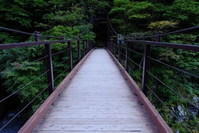 Boardwalk amidst trees