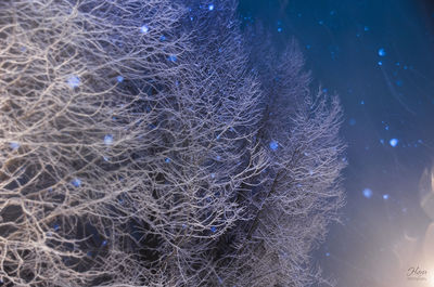 Close-up of fishing net at night