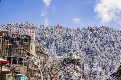 Low angle view of buildings and trees against sky