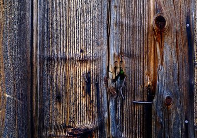 Close-up of man hanging on wood