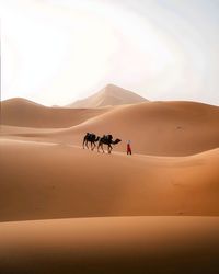 Scenic view of desert against sky during sunset