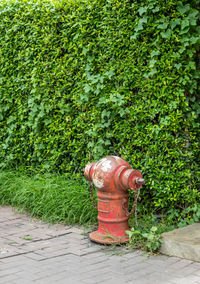 Fire hydrant on footpath