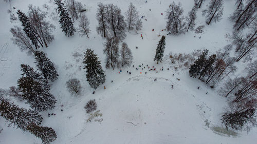 Snow and trees at winter park