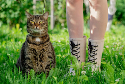 Low section of woman holding cat