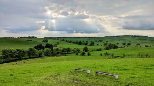 Scenic view of farm against sky