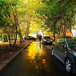 Cars on road