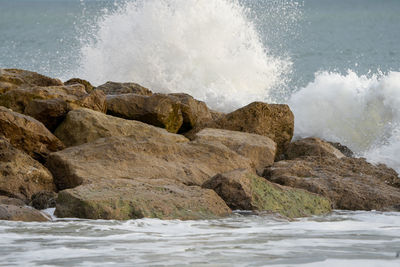 shore