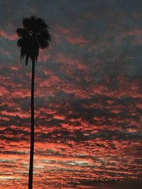Low angle view of silhouette palm trees against sky