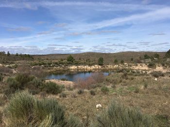 Scenic view of lake against sky