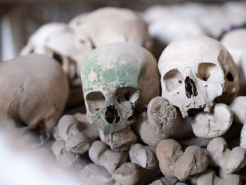 Close-up of human skulls