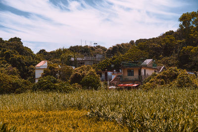 Houses and trees on field against sky