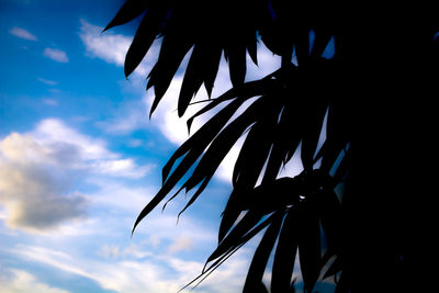 Low angle view of silhouette palm tree against blue sky