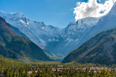 Scenic view of field and mountains against sky