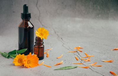 Front view of glass bottles of calendula essential oil with fresh marigold orange yellow flowers 