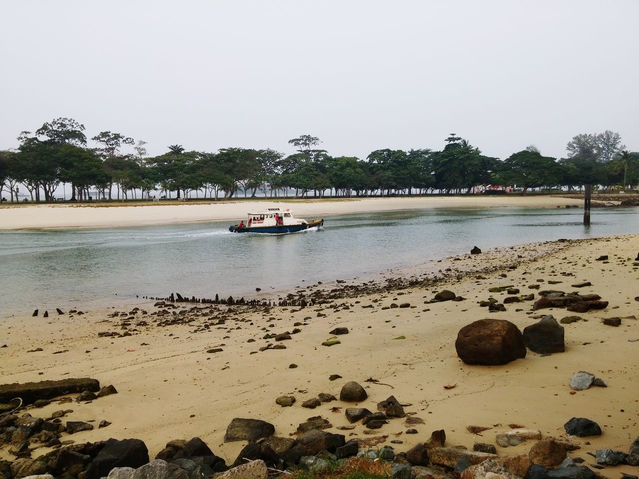 beach, water, sand, shore, tree, sea, tranquility, tranquil scene, clear sky, nature, scenics, sky, beauty in nature, palm tree, day, incidental people, coastline, rock - object, horizon over water, outdoors