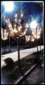 Illuminated trees against sky at night