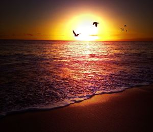 Scenic view of sea at sunset