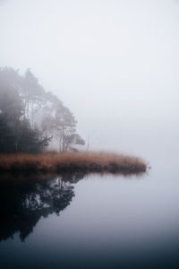 Reflection of trees in lake against sky