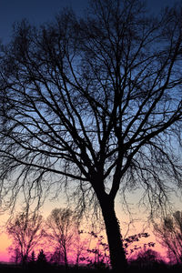 Low angle view of silhouette bare tree against sky at sunset