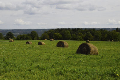 Scenic view of field against cloudy sky