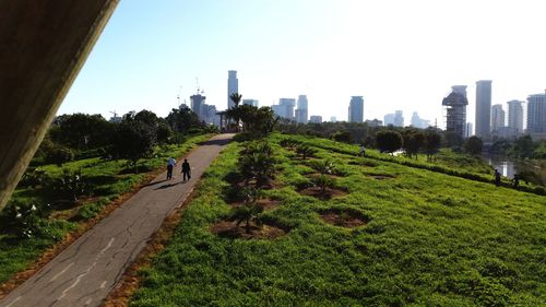 Road amidst trees and buildings in city against sky