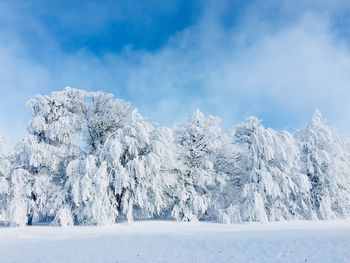 Snow covered landscape against sky