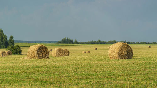 Hay bales on field against sky