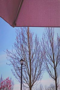 Low angle view of street light against blue sky