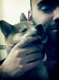 domestic animals