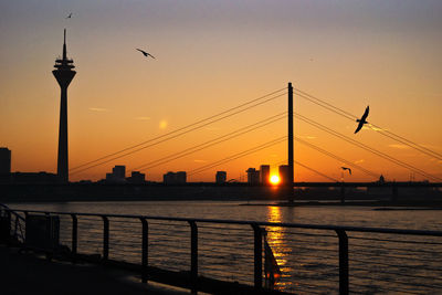 Silhouette birds flying over river against sky during sunset
