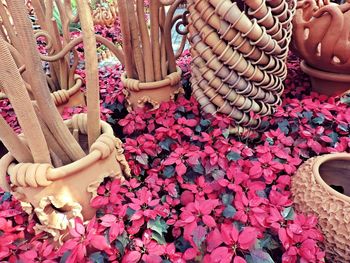 Decorations amidst poinsettia growing on field