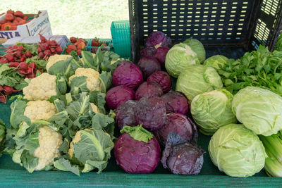 Various vegetables in market stall