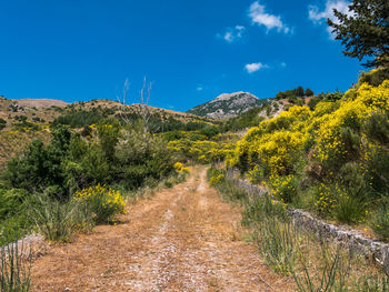 Road amidst field against clear blue sky