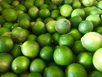 Lime for sale